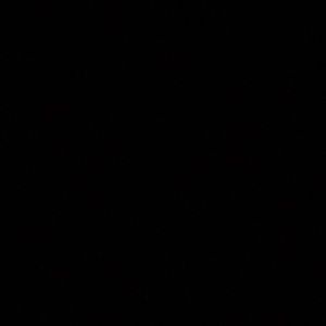 Meet your Posher, Alondra